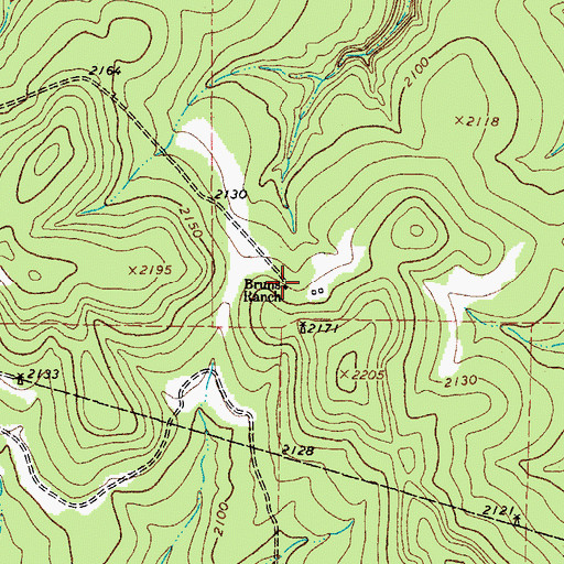 Topographic Map of Bruns Ranch, TX
