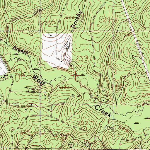 Topographic Map of Brushy Branch, TX