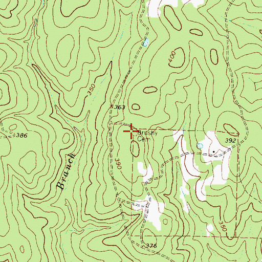 Topographic Map of Brushy Cemetery, TX