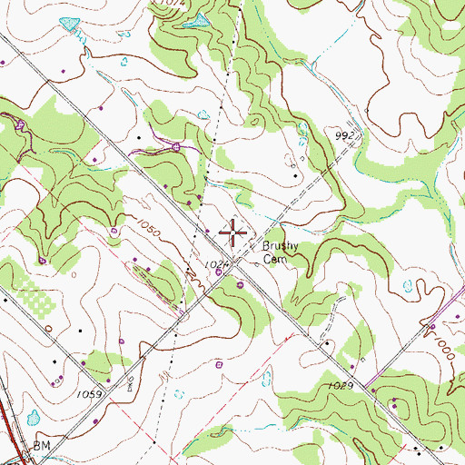 Topographic Map of Brushy Cemetery, TX