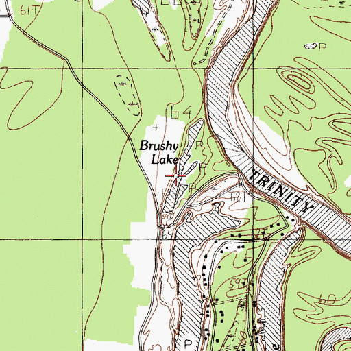 Topographic Map of Brushy Lake, TX
