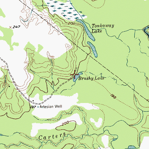 Topographic Map of Brushy Lake, TX