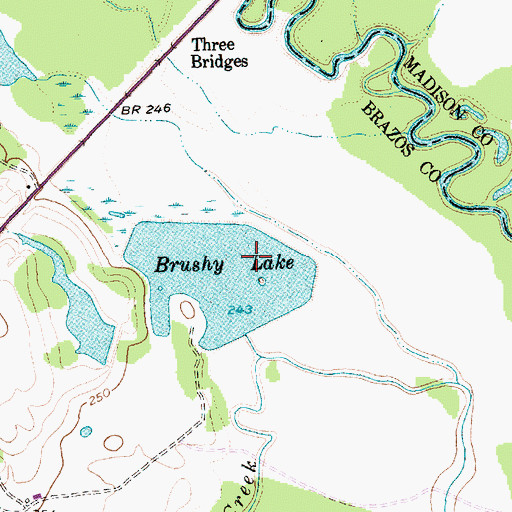Topographic Map of Brushy Lake, TX