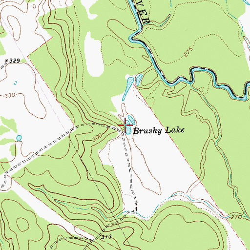 Topographic Map of Brushy Lake, TX