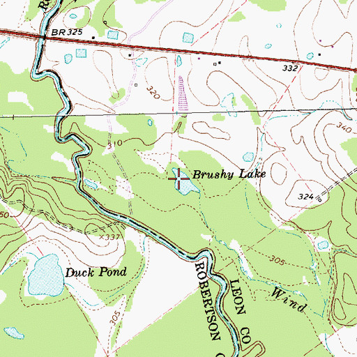 Topographic Map of Brushy Lake, TX