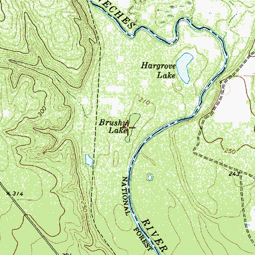 Topographic Map of Brushy Lake, TX