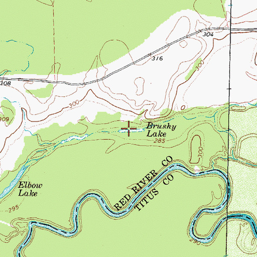 Topographic Map of Brushy Lake, TX