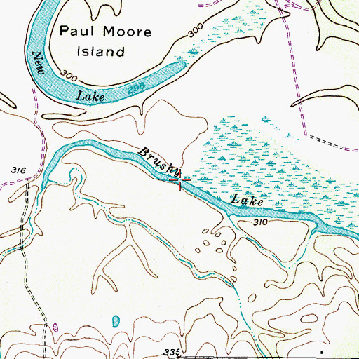 Topographic Map of Brushy Lake, TX