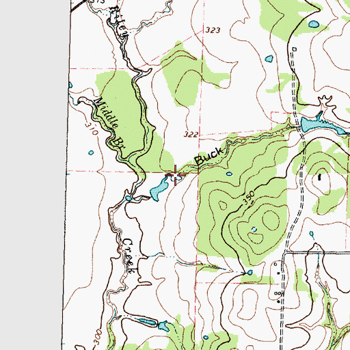 Topographic Map of Buck Gully, TX