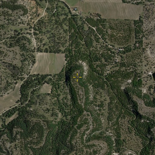 Aerial/Satellite Image of Buckeye Point, TX