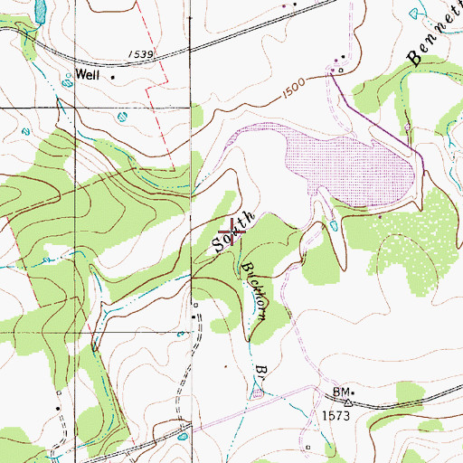 Topographic Map of Buckhorn Branch, TX