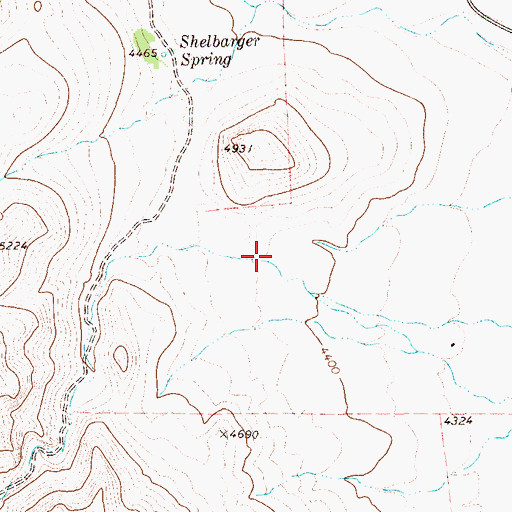Topographic Map of Buckhorn Canyon, TX