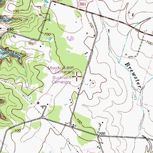 Topographic Map of Buckhorn Cemetery, TX
