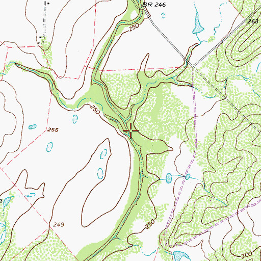 Topographic Map of Buckhorn Creek, TX
