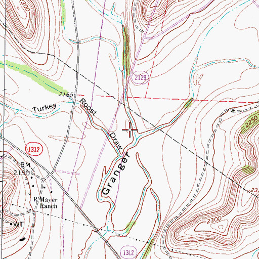 Topographic Map of Buckhorn Draw, TX
