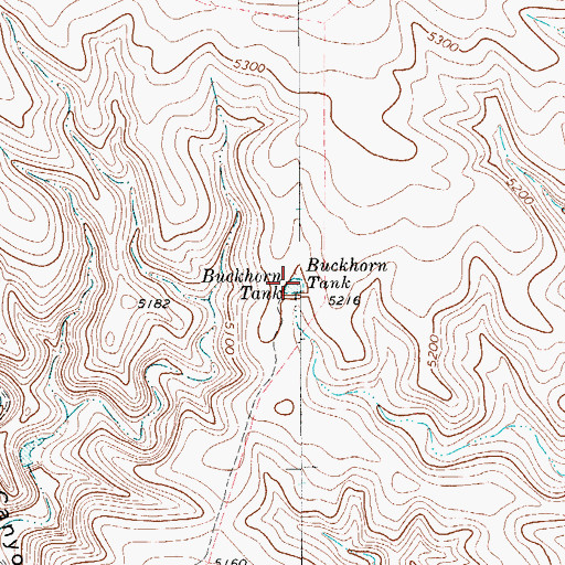 Topographic Map of Buckhorn Tank, TX