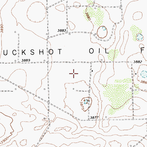 Topographic Map of Buckshot Oil Field, TX