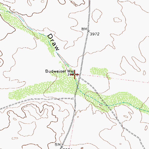 Topographic Map of Budweiser Well, TX