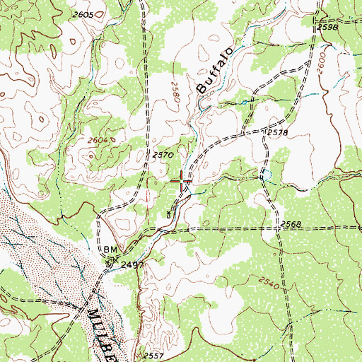 Topographic Map of Buffalo Arroyo, TX