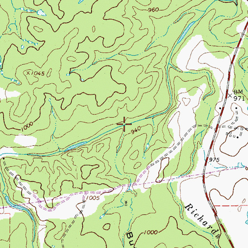 Topographic Map of Buffalo Hollow, TX