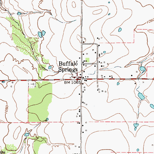 Topographic Map of Buffalo Springs, TX
