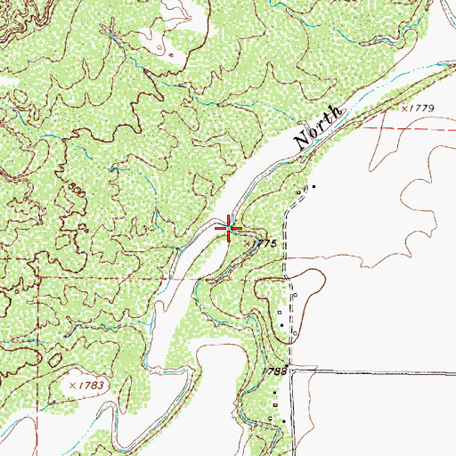 Topographic Map of Buford Branch, TX