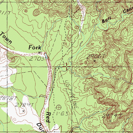 Topographic Map of Bull Canyon, TX