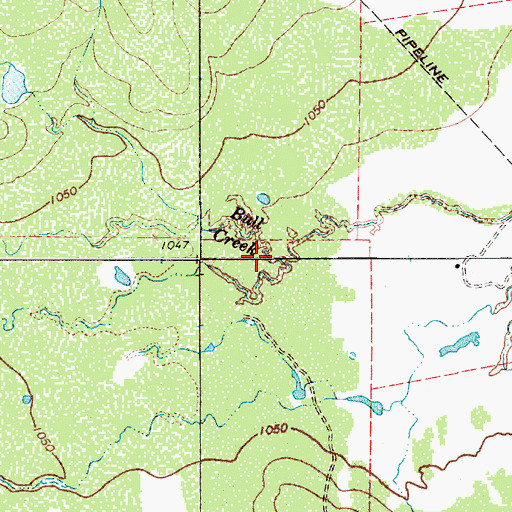 Topographic Map of Bull Creek, TX