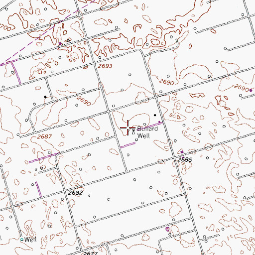 Topographic Map of Bullard Well, TX
