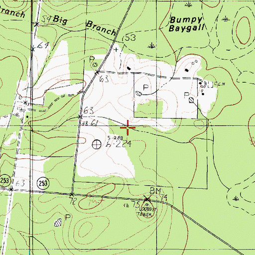 Topographic Map of Bumpy Baygall, TX