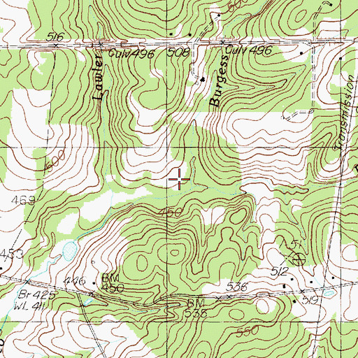 Topographic Map of Burgess Branch, TX