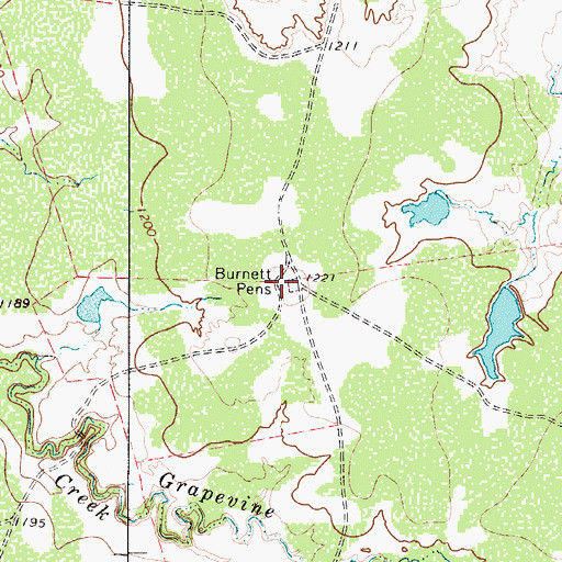 Topographic Map of Burnett Pens, TX