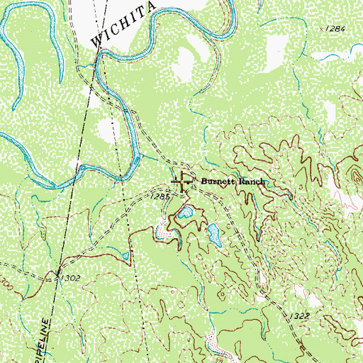 Topographic Map of Burnett Ranch, TX