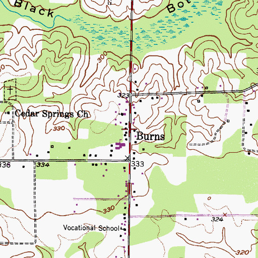 Topographic Map of Burns, TX
