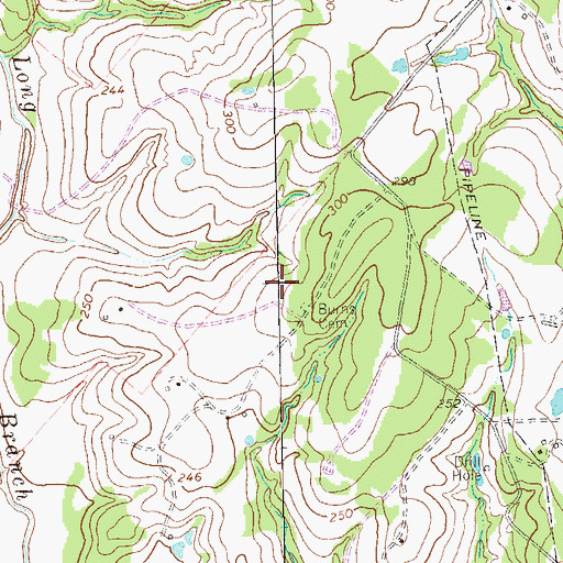 Topographic Map of Burns Cemetery, TX