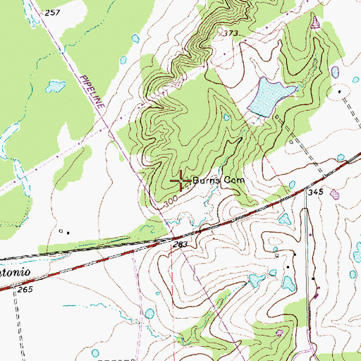 Topographic Map of Burns Cemetery, TX