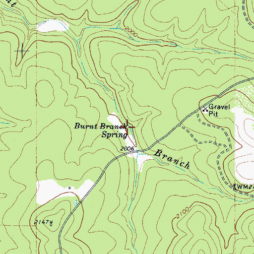 Topographic Map of Burnt Branch Spring, TX