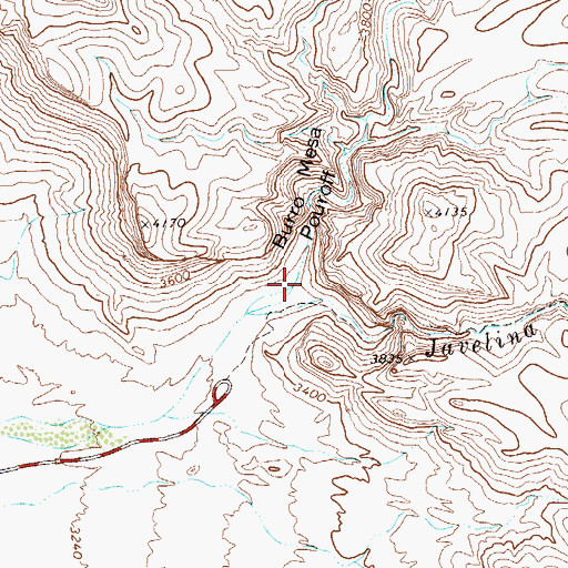 Topographic Map of Burro Mesa Pouroff, TX