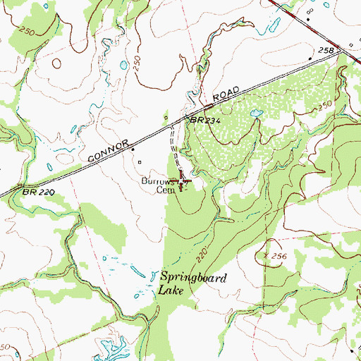Topographic Map of Burrows Cemetery, TX