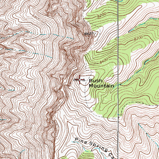 Topographic Map of Bush Mountain, TX