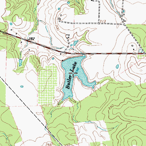 Topographic Map of Butler Lake, TX