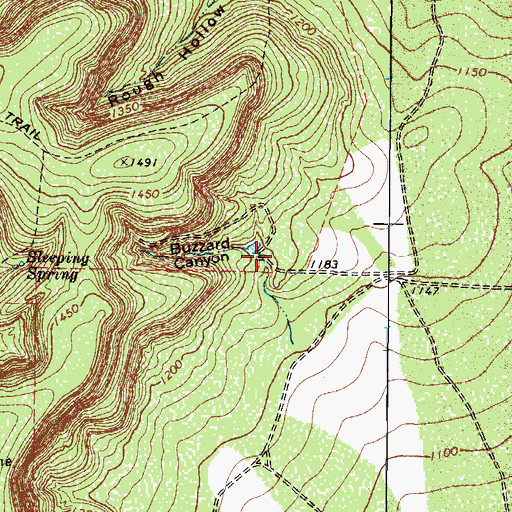 Topographic Map of Buzzard Canyon, TX