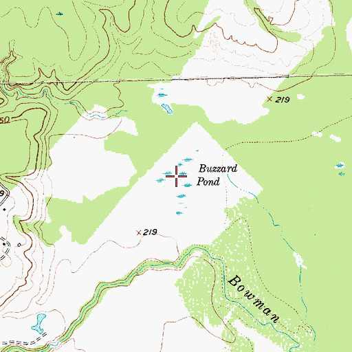 Topographic Map of Buzzard Pond, TX