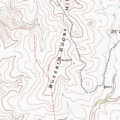 Topographic Map of Buzzard Roost Hills, TX