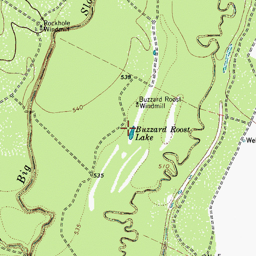 Topographic Map of Buzzard Roost Lake, TX