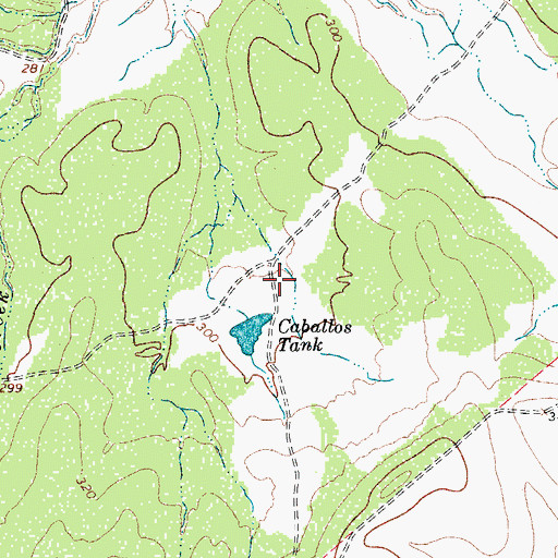 Topographic Map of Caballos Tank, TX