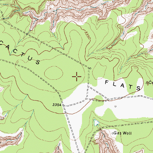Topographic Map of Cactus Flats, TX