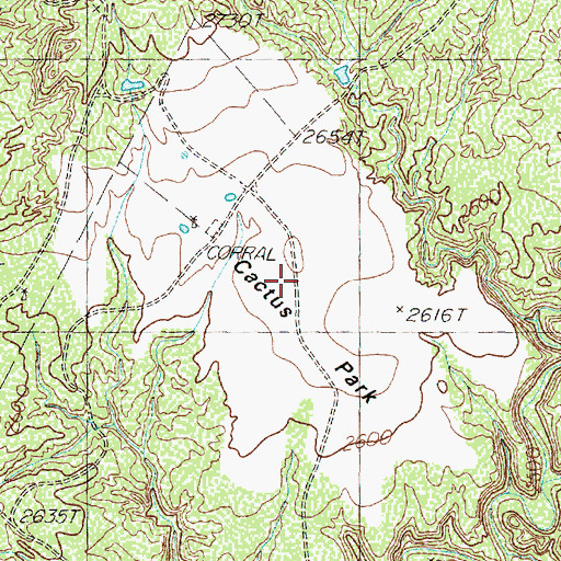 Topographic Map of Cactus Park, TX