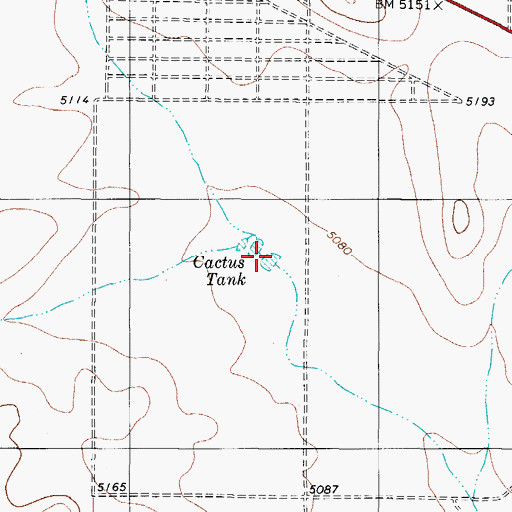 Topographic Map of Cactus Tank, TX