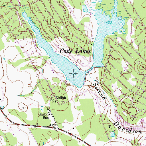 Topographic Map of Cade Lakes, TX